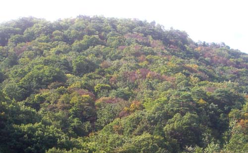 b0099994_11453688.jpg
