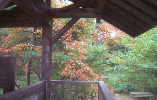 b0099994_11464797.jpg