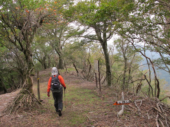 a0166196_2114319.jpg