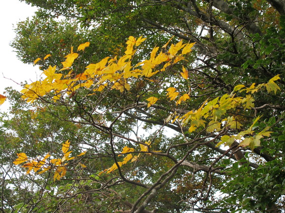 a0166196_21221858.jpg
