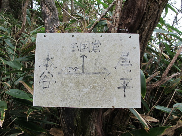 a0166196_21403529.jpg