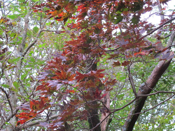 a0166196_2181281.jpg