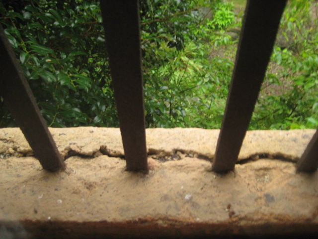 a0193698_19334892.jpg