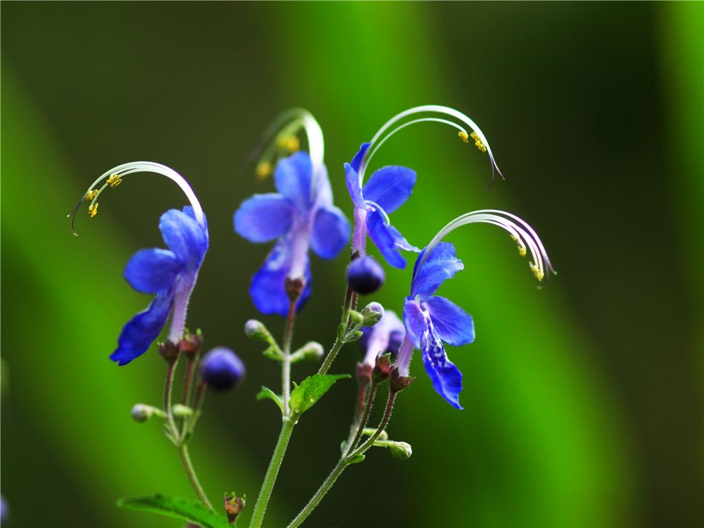 f0224100_2340360.jpg