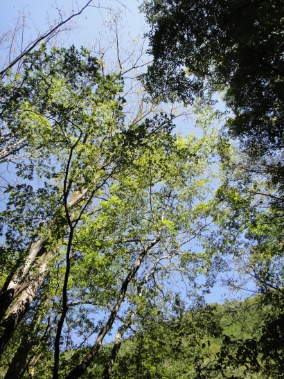 b0172805_1013463.jpg