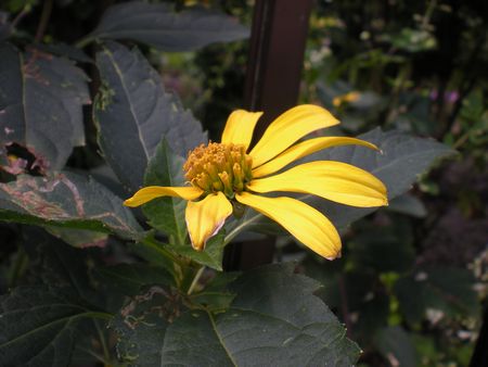 b0061107_955531.jpg