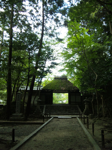 c0114110_1310920.jpg