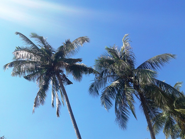 a0000014_115928.jpg