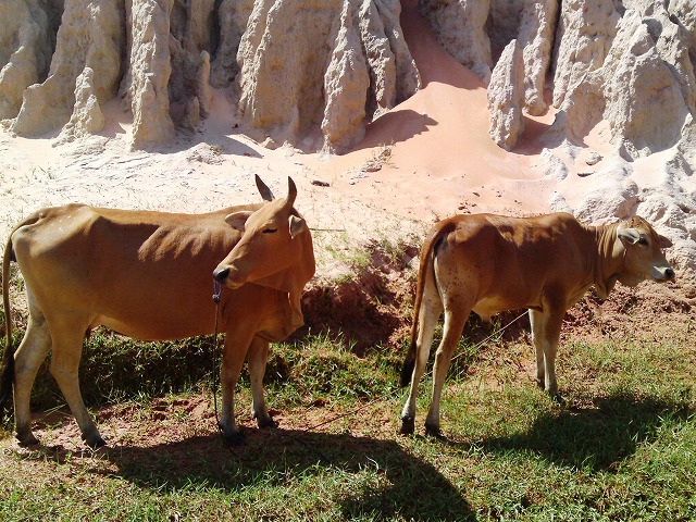 a0000014_11593836.jpg
