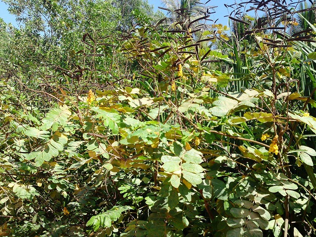 a0000014_1201821.jpg