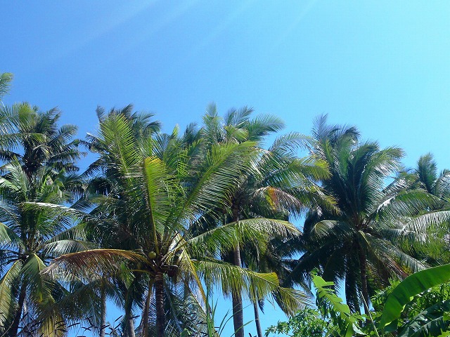 a0000014_121645.jpg
