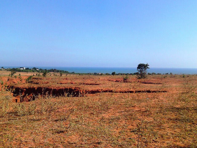 a0000014_17544320.jpg