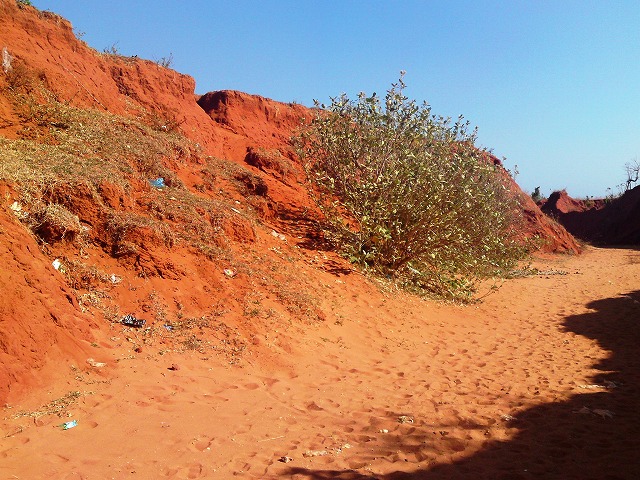 a0000014_17544415.jpg