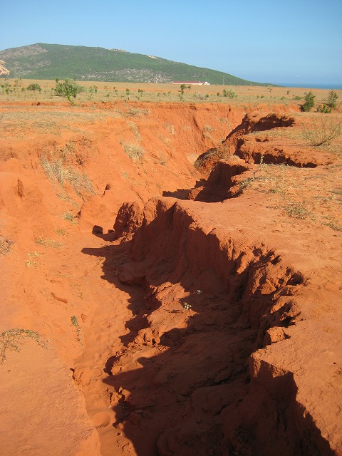 a0000014_17544440.jpg