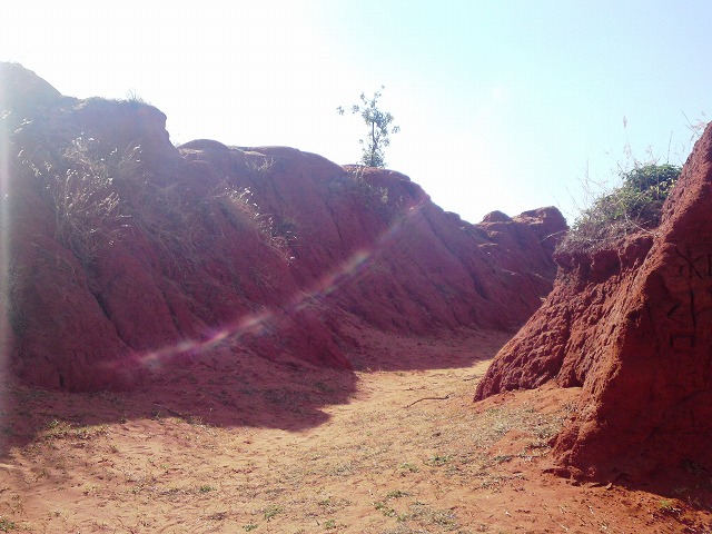 a0000014_17544593.jpg
