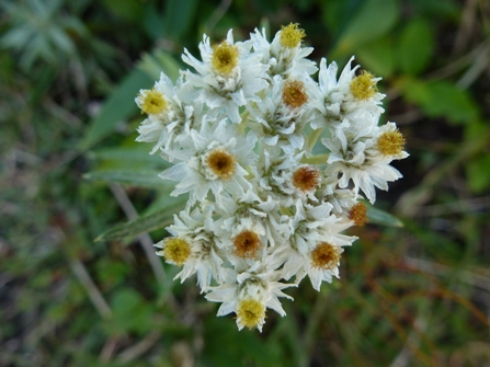 c0042418_90219.jpg