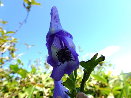 c0042418_913285.jpg