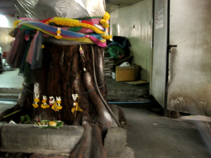 c0134522_17451753.jpg
