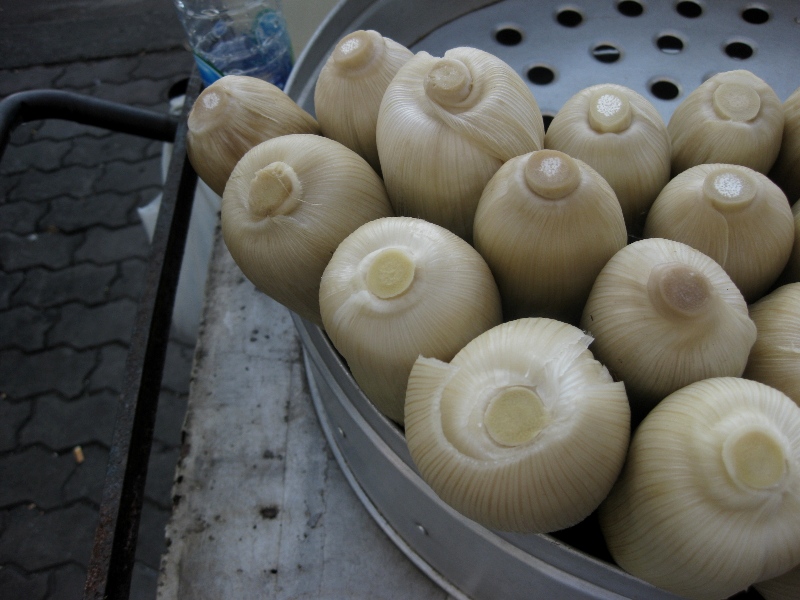 c0134522_1834112.jpg