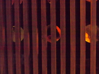 d0252924_10101491.jpg