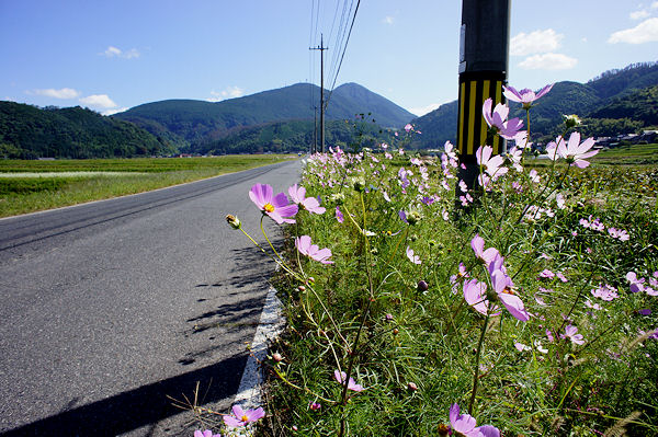 f0007926_1118576.jpg