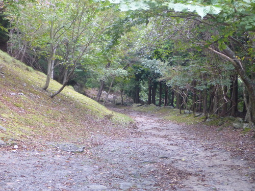b0195927_21275512.jpg