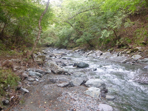 b0195927_2245865.jpg