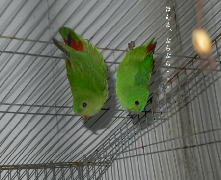 d0042827_0535140.jpg