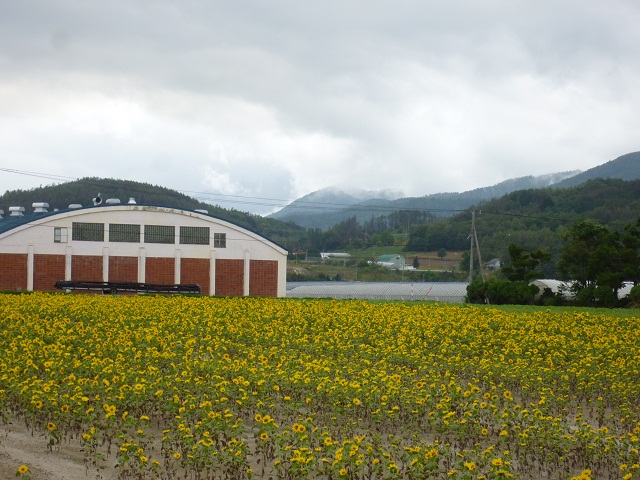 a0024829_9155016.jpg