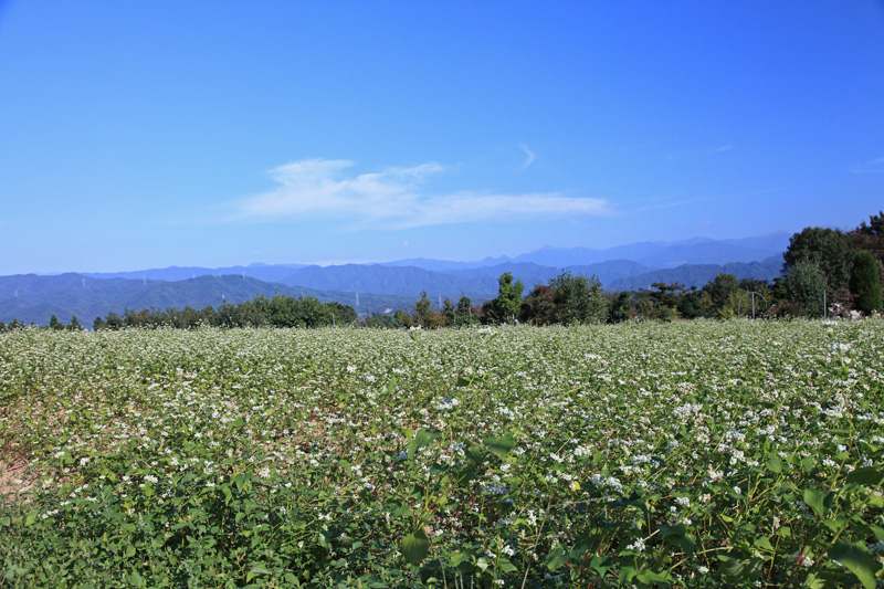 e0025930_22301676.jpg