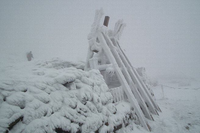 f0118332_10283279.jpg