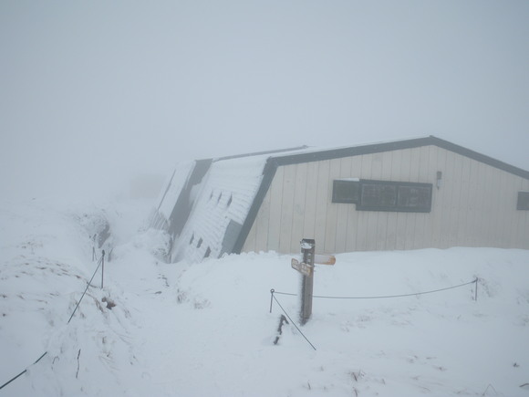 f0118332_1032228.jpg