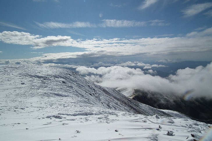 f0118332_10345271.jpg