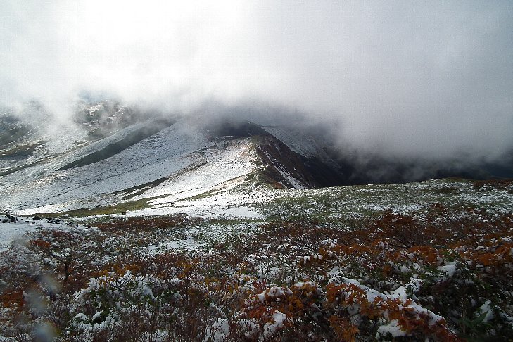 f0118332_10454122.jpg