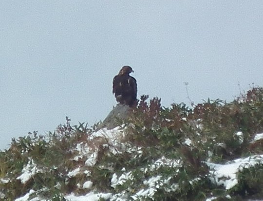 f0118332_1046013.jpg