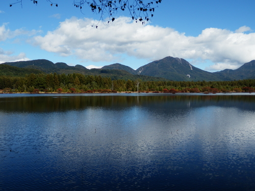 c0015639_21533053.jpg