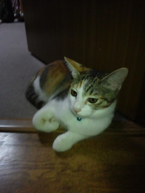 c0194042_11584840.jpg