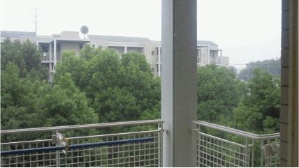 b0182846_22284535.gif