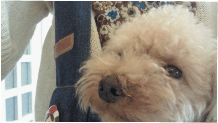 b0182846_22293413.gif
