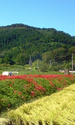 a0054647_8555621.jpg