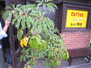d0063149_2334447.jpg