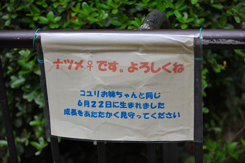 a0142056_2044281.jpg