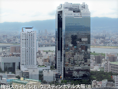 c0167961_3183415.jpg