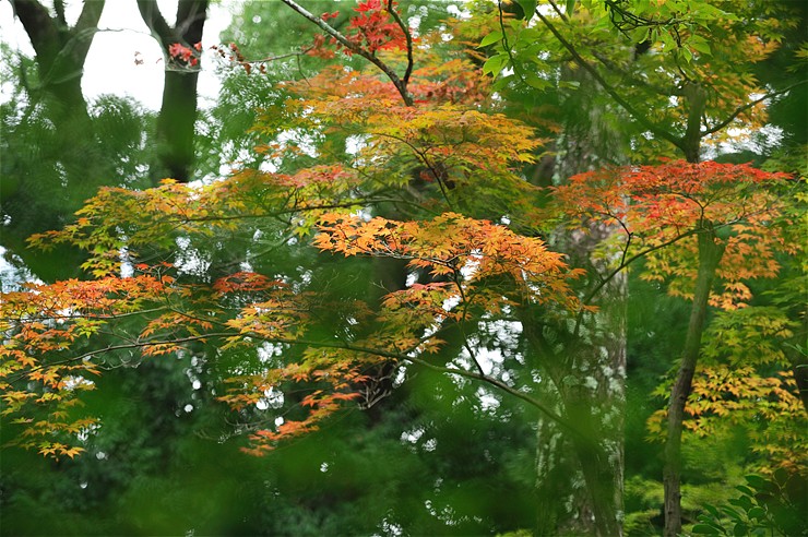 f0222161_13113040.jpg
