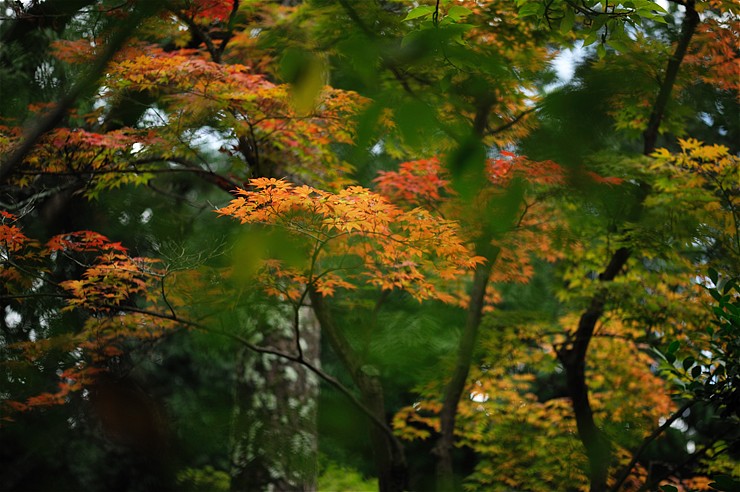 f0222161_13113527.jpg