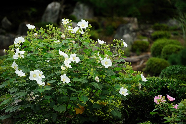 f0222161_1311775.jpg