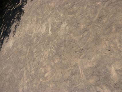 d0237165_1581023.jpg