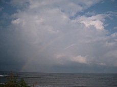 b0200971_0561992.jpg