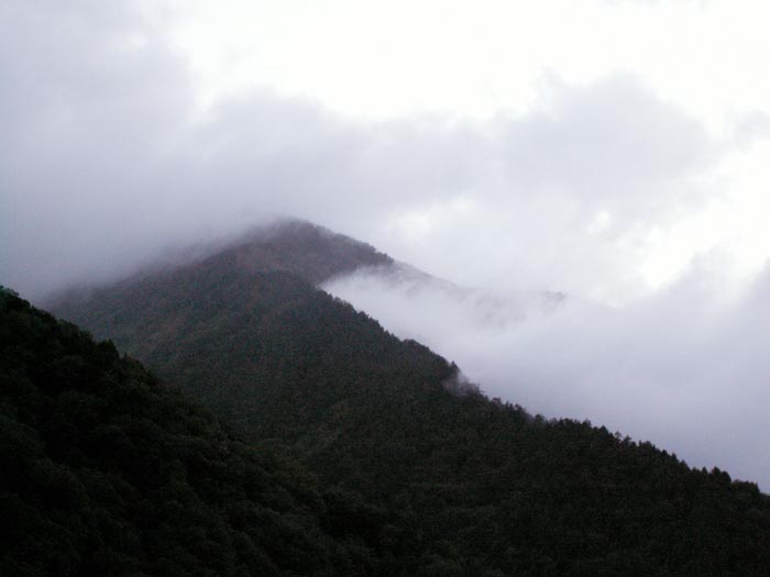 e0164571_16381487.jpg
