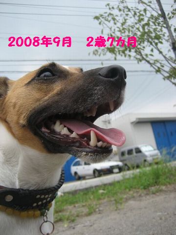 f0100871_21191829.jpg